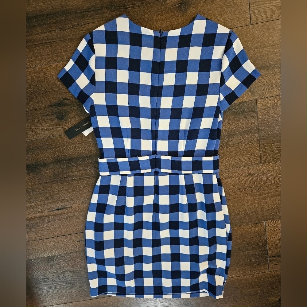 NWT Cynthia Steffe Blue and White Checkered Dress - Size 0 - Picture 12 of 16